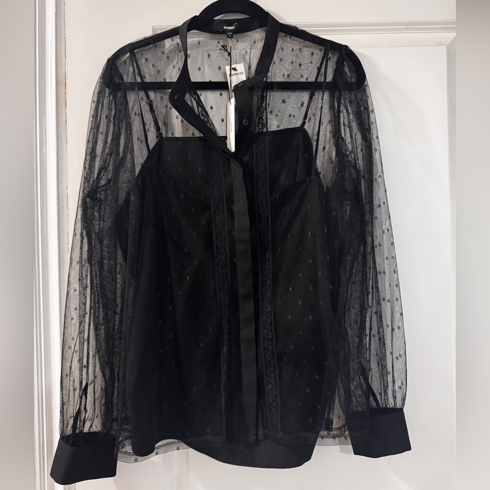 Express Black Sheer Polka Dot Blouse